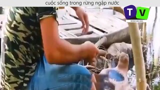 Sinh Tồn Trong Rừng Ngập Nước p10