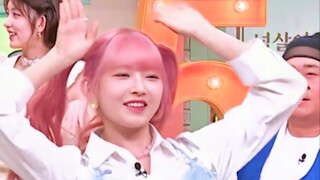 粉发怜宝宝跳Poppy+IVE跳BLACKPINK玩火综艺舞蹈！