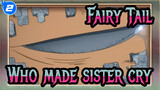 Fairy Tail|"Who made sister cry?!!!"_2