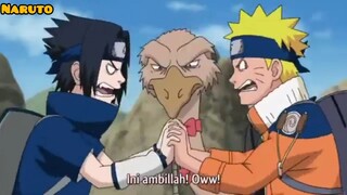 Kekonyolan Naruto dan Sasuke saat masih kecil 😹