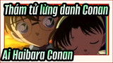 Thám tử lừng danh Conan|[AMV]Shinichi, tôi có thể gọi bạn là Conan lần cuối được không?