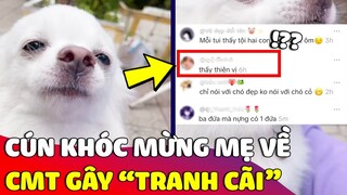 Tranh cãi bé cún 'KHÓC NỨC NỞ' mừng Sen quay về nhà sau bao ngày xa cách 😅 Gâu Đần