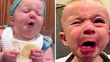 พยายามอย่าหัวเราะ สถานการณ์ตลกเมื่อลูกกินมะนาวครั้งแรก วิดิโอตลก