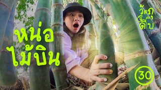 ตัดหน่อไม้ไปทำแกงเปรอะ แต่หมาแย่งมีด - วัตถุดิบ EP30