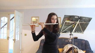 Me playing 'Hedwig's Theme' on the flute
