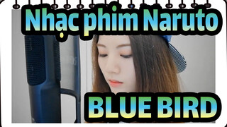 [Nhạc phim Naruto] OP3 BLUE BIRD (cover)