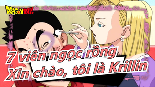 [7 viên ngọc rồng] Xin chào mọi người tôi là Krillin, Nhìn đi, cô ấy là vợ tôi, Chúc mừng Lễ Qixi