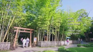Chú gấu bông kỳ diệu EP 16 [Sub Việt]