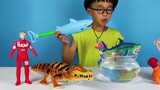 Ozawa mở hộp chơi đồ chơi súng nước hình cá mập, đồ chơi lắp ráp cá sấu bò được
