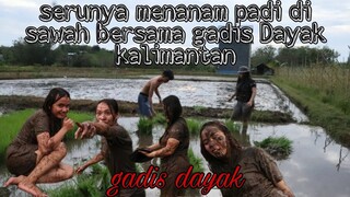 KESERUAN GADIS DAYAK || MENANAM PADI DAN BERMAIN DI SAWAH BERSAMA GADIS DAYAK.