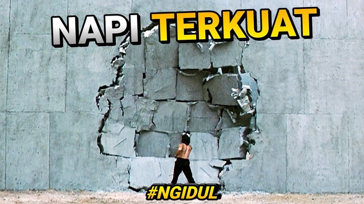 KEKUATAN DILUAR NALARNYA MEMBUAT SEMUA PENGUASA PENJARA TUNDUK! 1 PUKULANNYA MENEMBUS ORGAN MANUSIA