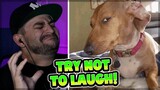 Try not to laugh CHALLENGE 52 - by AdikTheOne REACTION!