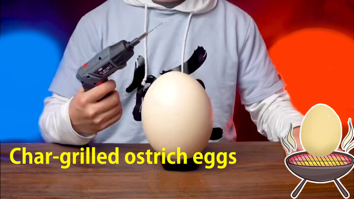 Food|Carbon Backing of 3.5 pounds of Ostrich Eggs
