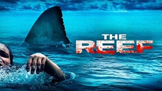 Another shark movie 🎦 😱