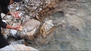 net fishing | asala fishing | trout fishing | himalayan trout fishing |