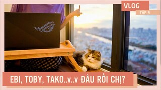 Những câu hỏi thường gặp (EBI, TOBY, TAKO..v..v ĐÂU RỒI CHỊ?) | The Happy Pets Vlog #3