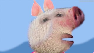 Cảm giác thế nào khi xem phiên bản lợn thật của "Peppa Pig" mà một con lợn thật trông giống như một 