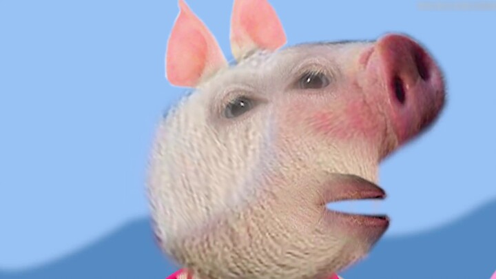What's it like to watch the real pig version of "Peppa Pig" where a real pig looks like a hair dryer