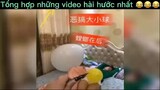 Tổng hợp những video hài hước nhất