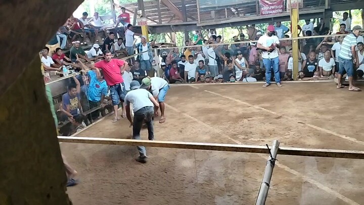 3rd fight win..Toliz white Line🙂