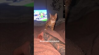 Funny Pets | 2024😂 Funny Dogs And Funny Cats Videos 🐱 🐕 😄 #84