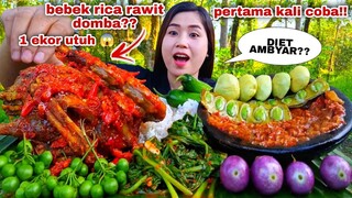 MAKAN 1 EKOR BEBEK RICA RICA SAYUR SAWI LALAPAN MENTAH JENGKOL MUDA PETAI TERONG LEUNCA