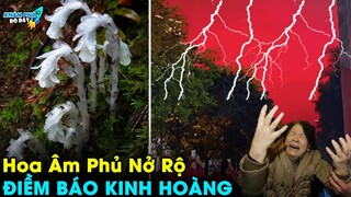 ✈️ 6 Dị Tượng Bí Ẩn Và Đáng Sợ Chấn Động Ở Trung Quốc Mà Có Thể Bạn Chưa Biết | Khám Phá Đó Đây