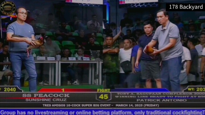 Legendary Hennie of Mr. AA vs Idol Patrick Antonio