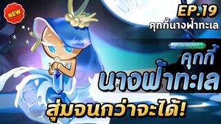 COOKIE RUN KINGDOM | สุ่มกาช่าคุกกี้ตัวใหม่ นางฟ้าทะเลออกง่ายกว่า??