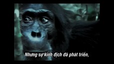 Đế chế tinh tinh EP 3 [Sub Việt]