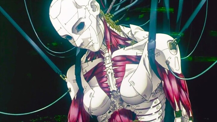 In the future 0.23% of pure humans remain , the rest are hybrid cyborgs