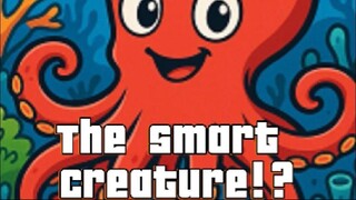Marine Biology: Understanding the Amazing Octopus