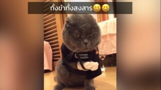 อย่าแกล้งน้องงง😂