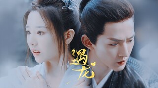 Miss The Dragon 遇龙 | Xue Qian Xun x Qing Qing • 雪阡寻x青青 - Su Gong Di (苏公堤) | 冷面阁主终于表白了，向小鸟妖开启疯狂追求模式！