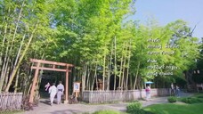 Chú gấu bông kỳ diệu EP 4 [Sub Việt]