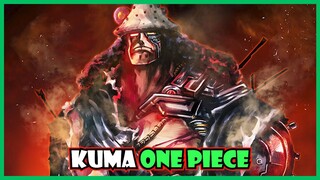 Kuma Và Thí Nghiệm Đáng Sợ - Bàn Luận One Piece