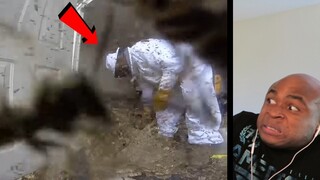 Massive Hornet Nest Removal REACTION!