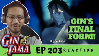 THE DREAM IS OVER!!! |Gintama Episoide 203 [REACTION] "Everyone Looks Pretty Grown up after Summer."