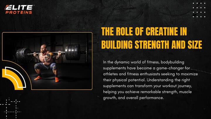 The Role of Creatine in Building Strength and Size