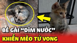 Bức xúc vụ việc BÉ GÁI dìm nước 2 chú mèo rồi GIẤU X.ÁC | Yêu Lu