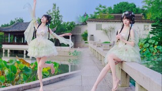 【Cocolo】一种相思花自飘零水自流～落花情