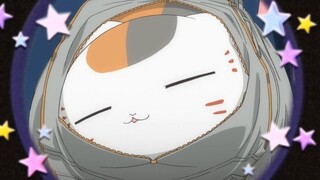 Kucing Sansan terluka ~ Jadilah lucu untuk saat ini ~