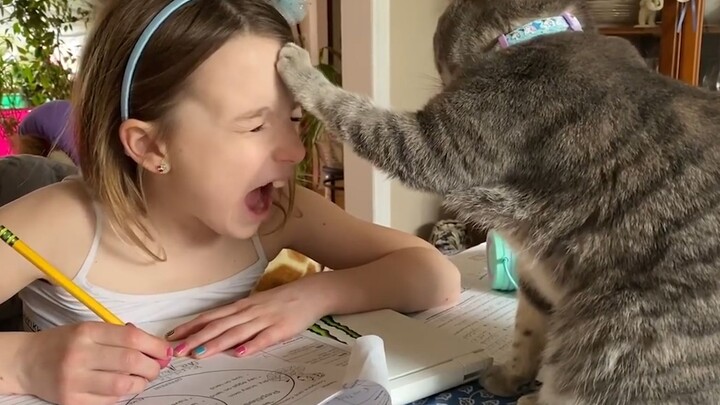 Kitty: Do your homework!