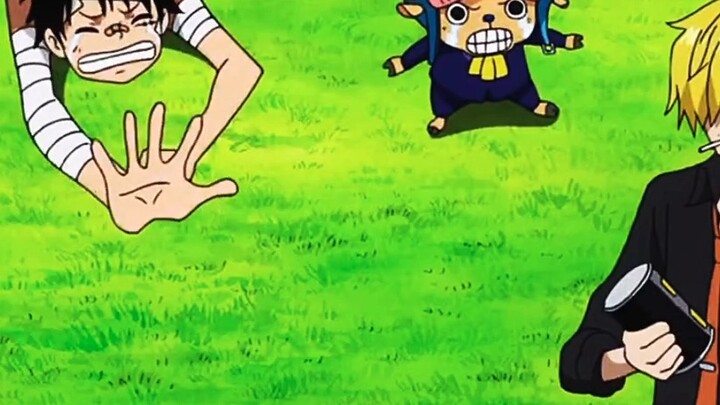 Sanji, you bastard