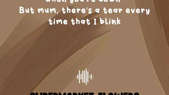 supermarket flowers by ed Sheeran lyrics