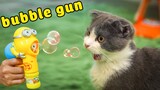 Cats vs Bubble Gun (The Happy Pets #16)