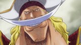 Tất Tần Tật Cuộc Đời Các Thế Hệ Tứ Hoàng Trong One Piece | Part 1