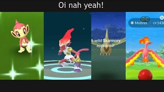 Shiny Chimchar, Infernape release in community day Pokemon Go.