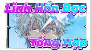 Không Chối Từ | Ôn Lại "Linh Hồn bạc" Tổng Hợp