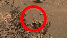 Som ET - 82 - Mars - Curiosity Sol 4028 - 3